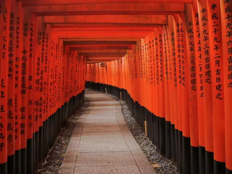 Kyoto & Nara Tour