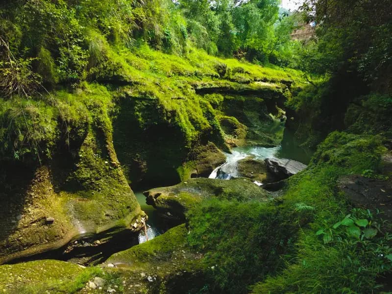 Transfer from Nagarkote to Pokhara