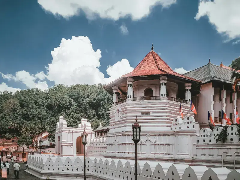 Arrive in Sri Lanka & Transfer to Kandy via Pinnawala